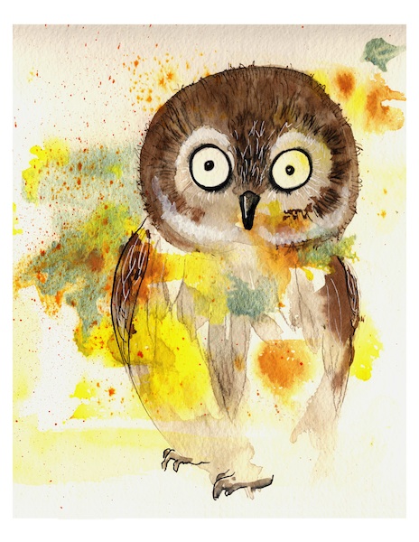 Owl - 8x10 Fine Art Print Adorable Colorful Watercolor Painting Speckled Barn Owl Interior Wall Decor Bird Nature Canadian Oladesign