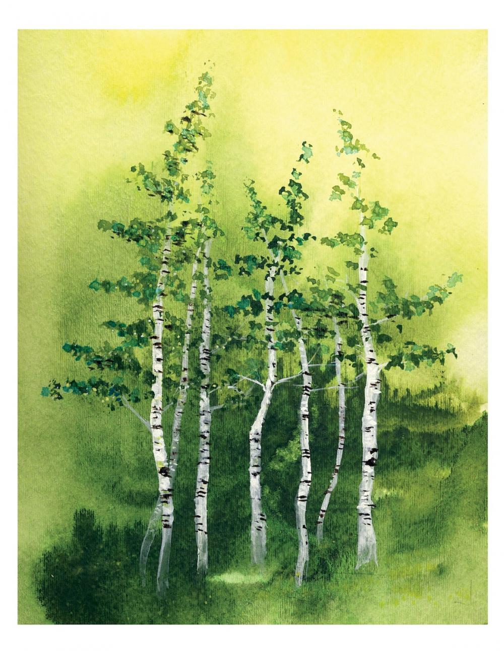 8x10 "tranquil Grove" Fine Art Print Birch Trees Woods Forest Natural Landscape Green Leaves Ink Watercolor Painting